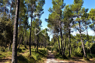  maison st-clement-de-riviere 34980