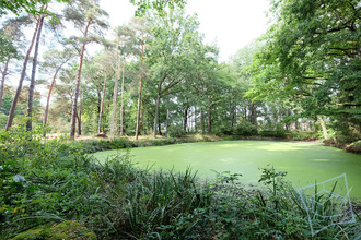  maison st-forget 78720