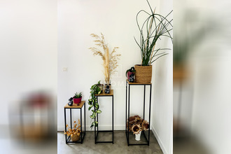  maison st-georges-sur-loire 49170