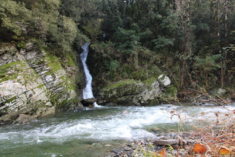  maison st-jean-du-gard 30270