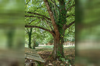  maison st-jean-du-gard 30270