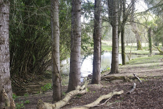  maison st-jean-poutge 32190