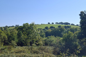  maison st-leonard-des-bois 72130