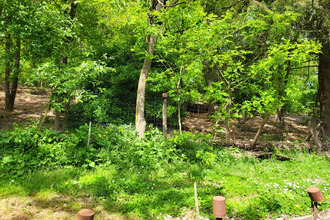  maison st-loup-lamaire 79600