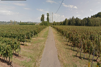  maison st-magne-de-castillon 33350