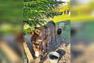  maison st-martin-aux-chartrains 14130