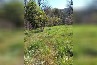  maison st-martin-de-boubaux 48160