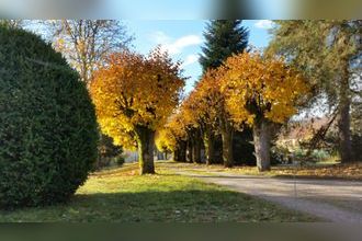  maison st-nabord 88200