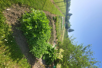  maison st-omer 62500