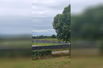  maison st-pair-sur-mer 50380