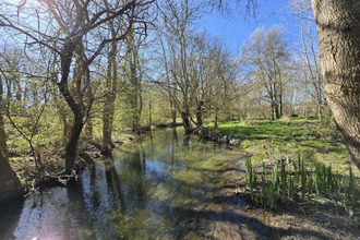  maison st-pierre-de-juillers 17400