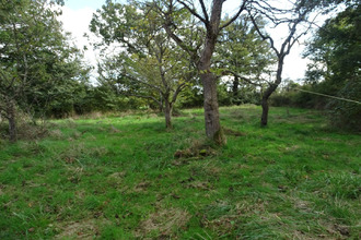  maison st-pierre-les-bois 18170