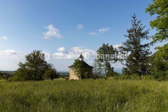  maison st-priest-la-roche 42590