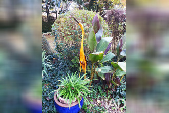  maison st-romain-de-benet 17600