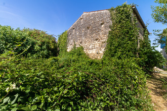  maison st-savinien 17350