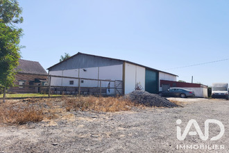  maison st-sylvestre-cappel 59114