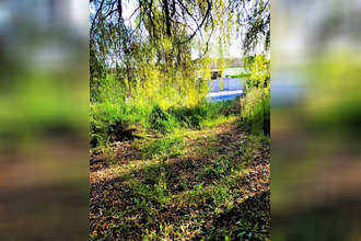  maison st-thomas-de-conac 17150