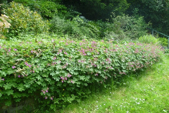  maison ste-adresse 76310