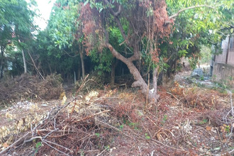  maison ste-anne 97180