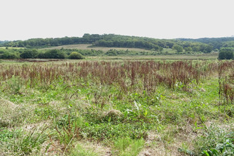  maison ste-colombe 40700