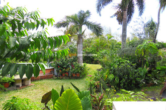  maison ste-marie 97438