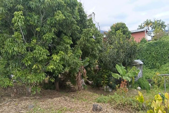  maison tampon 97430