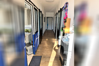  maison terrasson-lavilledieu 24120