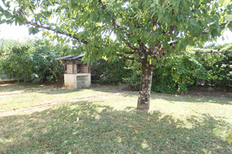  maison terrasson-lavilledieu 24120