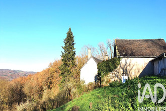  maison terrasson-lavilledieu 24120