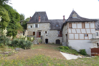  maison terrasson-lavilledieu 24120