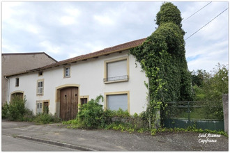  maison thaon-les-vosges 88150