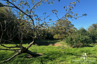  maison thouarsais-bouildroux 85410