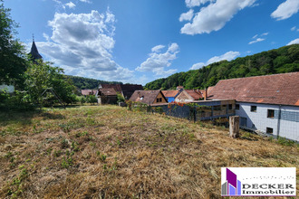  maison tieffenbach 67290