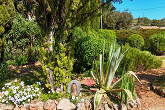  maison trans-en-provence 83720