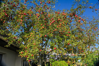  maison trappes 78190