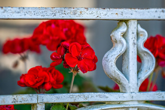  maison val-de-meuse 52140