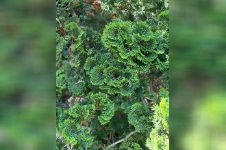  maison valence 26000