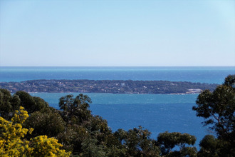  maison vallauris 06220