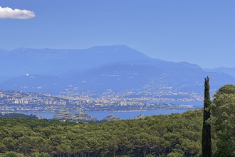  maison vallauris 06220