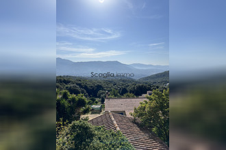  maison valle-di-mezzana 20167