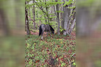  maison ventenac 09120