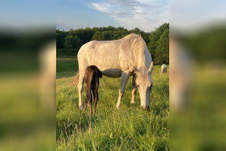  maison ventenac 09120