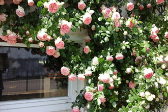  maison verdun-sur-le-doubs 71350