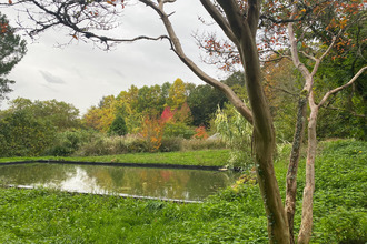  maison veyrines-de-vergt 24380