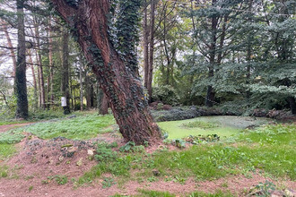  maison veyrines-de-vergt 24380