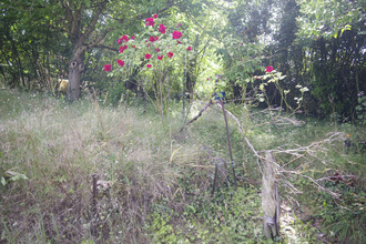  maison vic-fezensac 32190