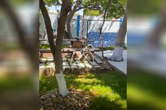  maison vic-la-gardiole 34110