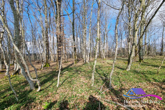  maison vicq-exemplet 36400