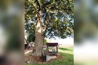  maison vicq-sur-nahon 36600