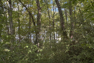  maison vierzon 18100